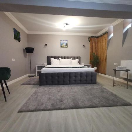 布加勒斯特Erbario House公寓 外观 照片
