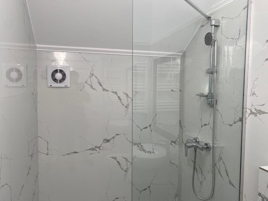 布加勒斯特Erbario House公寓 外观 照片