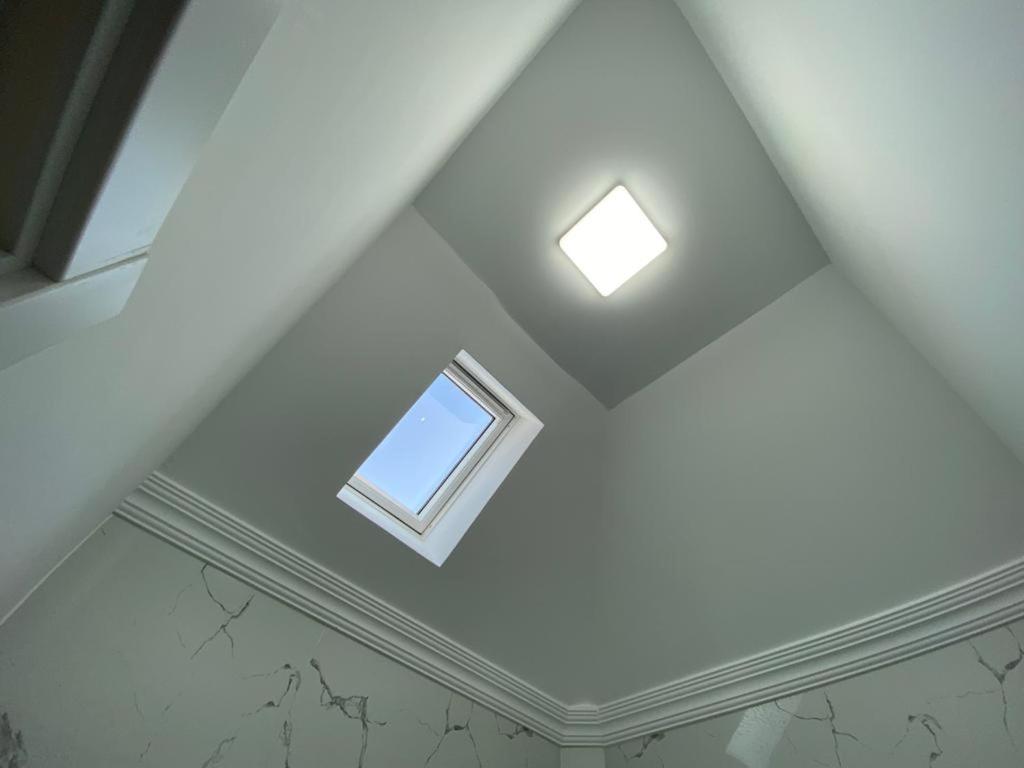 布加勒斯特Erbario House公寓 外观 照片