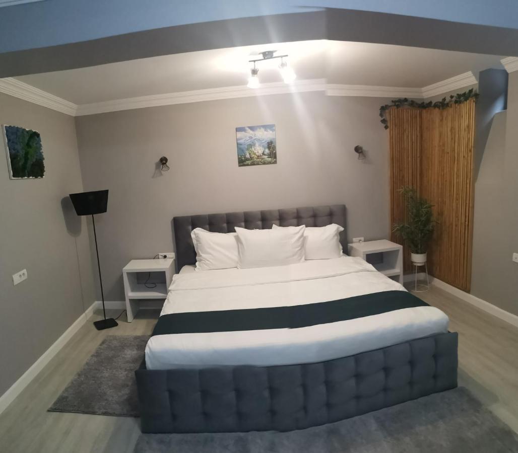 布加勒斯特Erbario House公寓 外观 照片